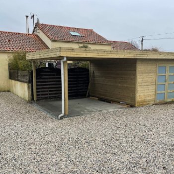 Abri de jardin en bois Toit Terrasse avec auvent
